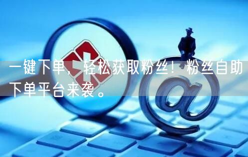 一键下单，轻松获取粉丝！粉丝自助下单平台来袭。