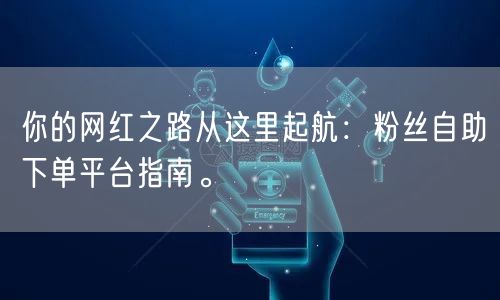 你的网红之路从这里起航：粉丝自助下单平台指南。