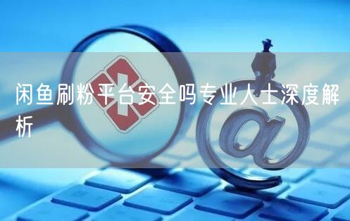 闲鱼刷粉平台安全吗专业人士深度解析