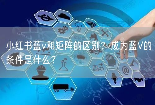 小红书蓝v和矩阵的区别？成为蓝V的条件是什么？