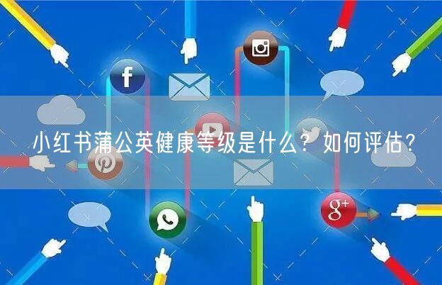 小红书蒲公英健康等级是什么？如何评估？
