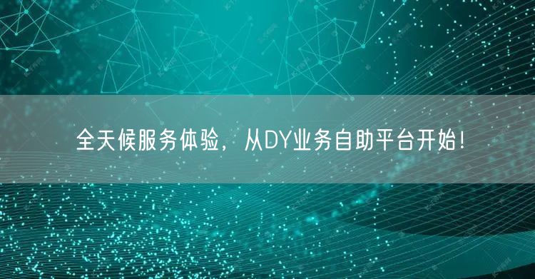 全天候服务体验，从DY业务自助平台开始！