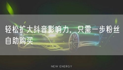 轻松扩大抖音影响力，只需一步粉丝自助购买