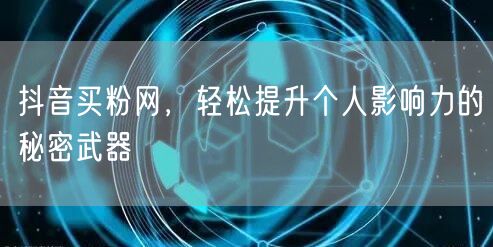 抖音买粉网，轻松提升个人影响力的秘密武器