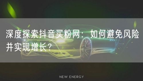 深度探索抖音买粉网：如何避免风险并实现增长？