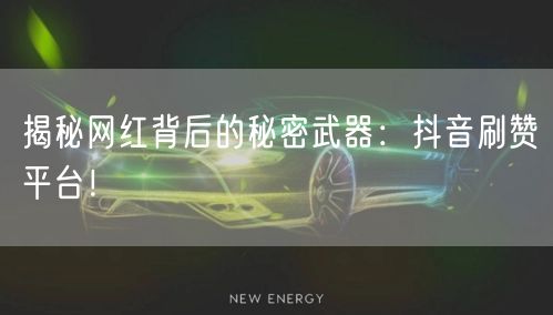 揭秘网红背后的秘密武器：抖音刷赞平台！