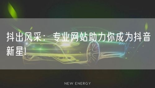抖出风采：专业网站助力你成为抖音新星!