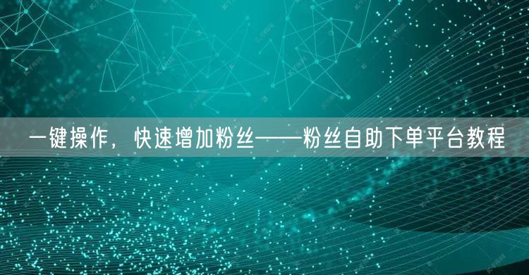 一键操作，快速增加粉丝——粉丝自助下单平台教程
