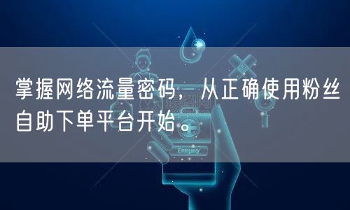 掌握网络流量密码，从正确使用粉丝自助下单平台开始。