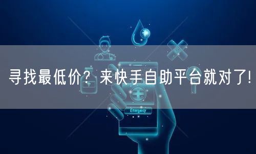 寻找最低价？来快手自助平台就对了!