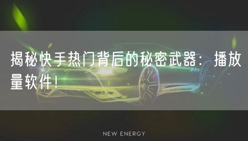 揭秘快手热门背后的秘密武器：播放量软件！