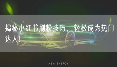 揭秘小红书刷粉技巧，轻松成为热门达人!