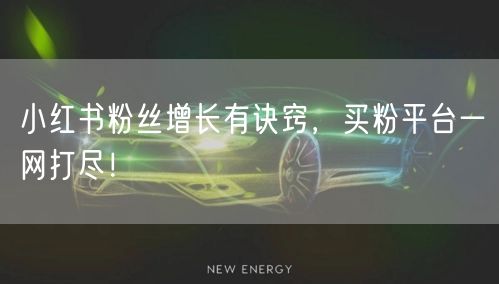 小红书粉丝增长有诀窍,买粉平台一网打尽!