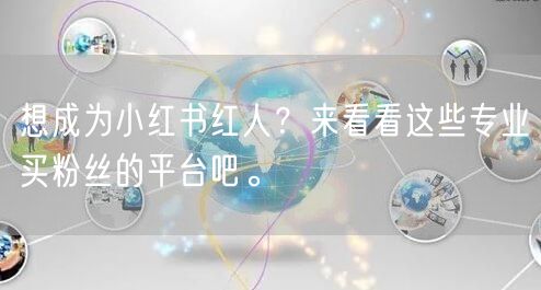 想成为小红书红人?来看看这些专业买粉丝的平台吧。