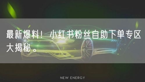 最新爆料！小红书粉丝自助下单专区大揭秘。