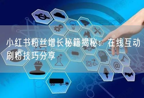 小红书粉丝增长秘籍揭秘：在线互动刷粉技巧分享