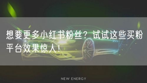 想要更多小红书粉丝？试试这些买粉平台效果