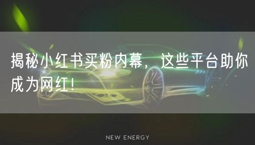 揭秘小红书买粉内幕,这些平台助你成为网红!