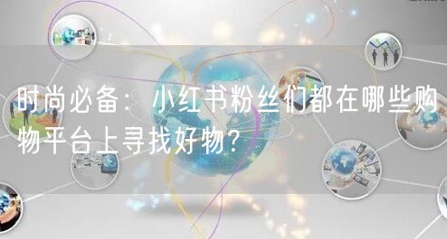 时尚必备：小红书粉丝们都在哪些购物平台上寻找好物？