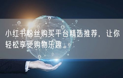 小红书粉丝购买平台精选推荐，让你轻松享受购物乐趣。