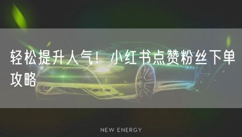 轻松提升人气！小红书点赞粉丝下单攻略