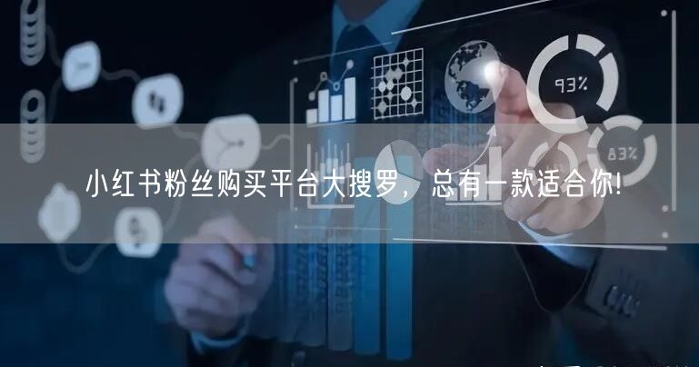 小红书粉丝购买平台大搜罗，总有一款适合你!