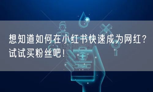 想知道如何在小红书快速成为网红？试试买粉丝吧！