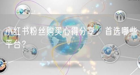 小红书粉丝购买心得分享：首选哪些平台？