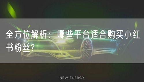 全方位解析：哪些平台适合购买小红书粉丝?