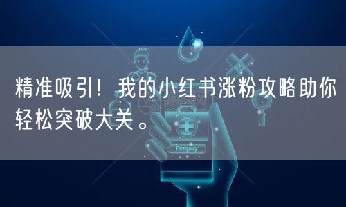 精准吸引！我的小红书涨粉攻略助你轻松突破大关。