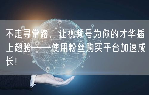 不走寻常路，让视频号为你的才华插上翅膀——使用粉丝购买平台加速成长！