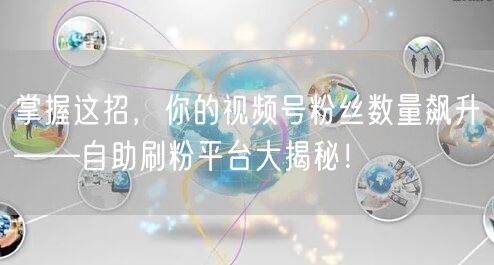 掌握这招，你的视频号粉丝数量飙升——自助刷粉平台大揭秘！