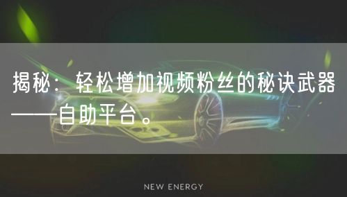 揭秘：轻松增加视频粉丝的秘诀武器——自助平台。