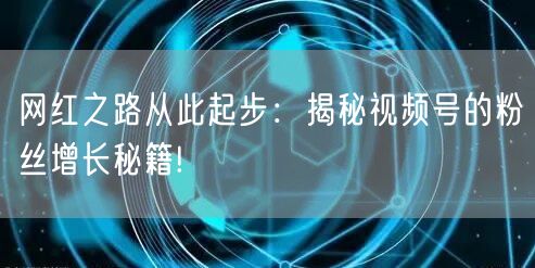 网红之路从此起步：揭秘视频号的粉丝增长秘籍!