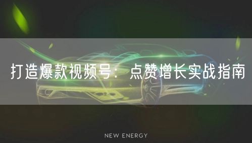 打造爆款视频号：点赞增长实战指南