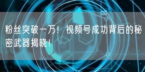 粉丝突破一万！视频号成功背后的秘密武器揭晓！