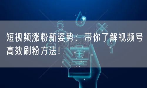 短视频涨粉新姿势：带你了解视频号高效刷粉方法！
