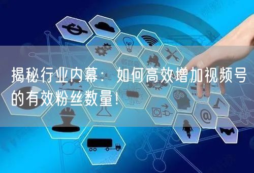 揭秘行业内幕：如何高效增加视频号的有效粉丝数量！