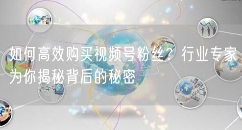 如何高效购买视频号粉丝？行业专家为你揭秘背后的秘密